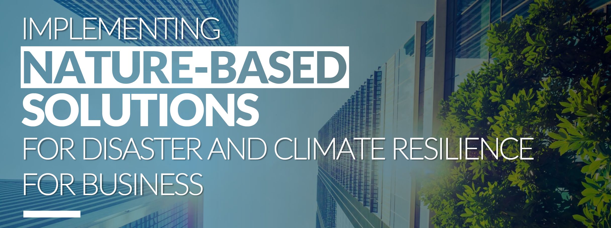 Banner - Nature-based Solutions for Disaster and Climate Resilience for Business