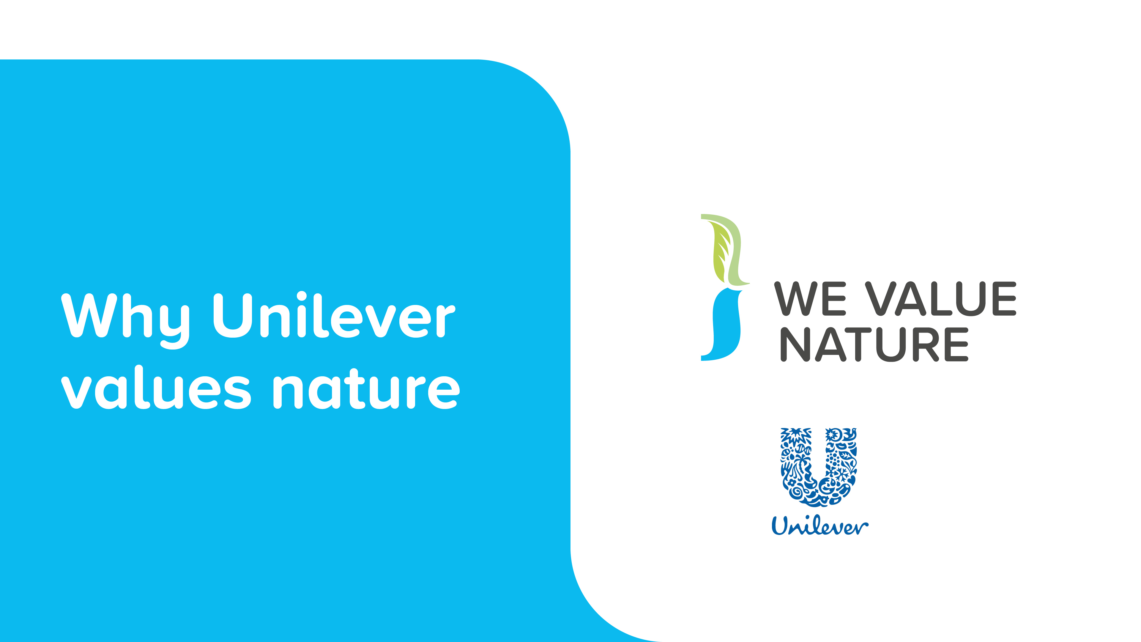 Unilever