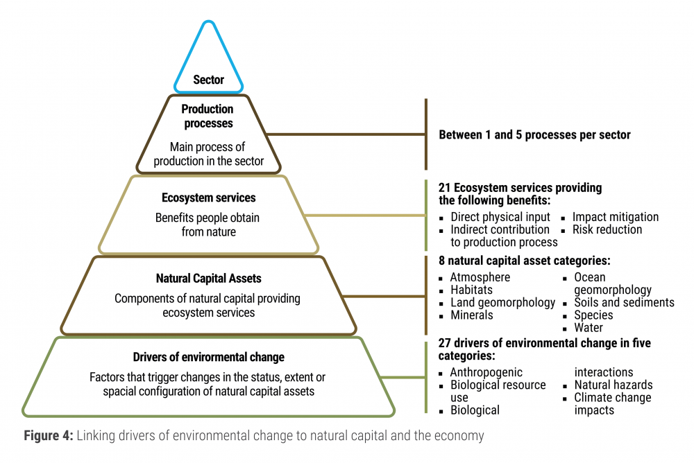 Linking drivers of environmental change to natural capital and the economy