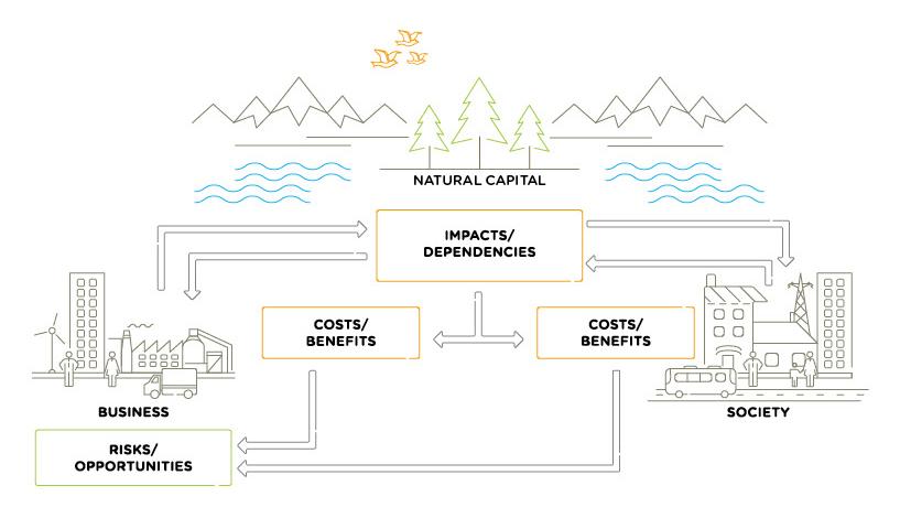 natural capital interactions
