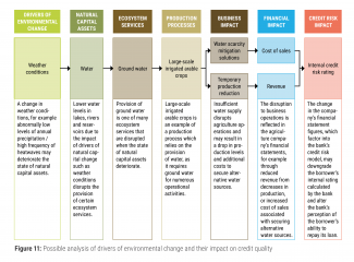 Possible analysis of drivers of environmental change and their impact on credit quality