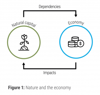 Nature and the economy infographic