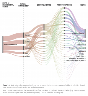 Sector disruption driven by environmental change