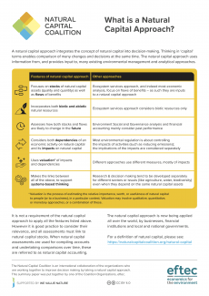 What is a Natural Capital Approach