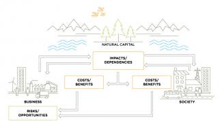 natural capital interactions