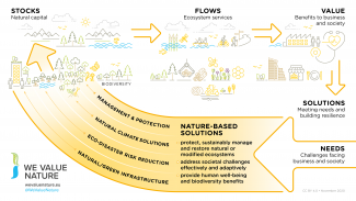 Nature-based solutions and natural capital diagram