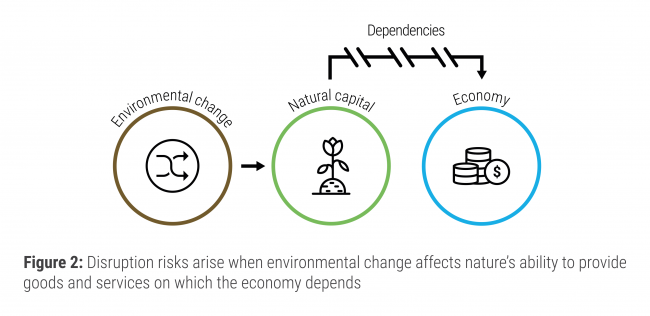 The effect of environmental change on natural capital and the economy