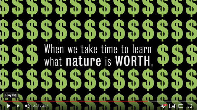 'Big question: What is nature worth?' video thumbnail