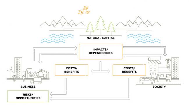 natural capital interactions