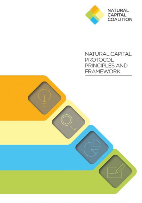 The Natural Capital Protocol Principles and Framework 