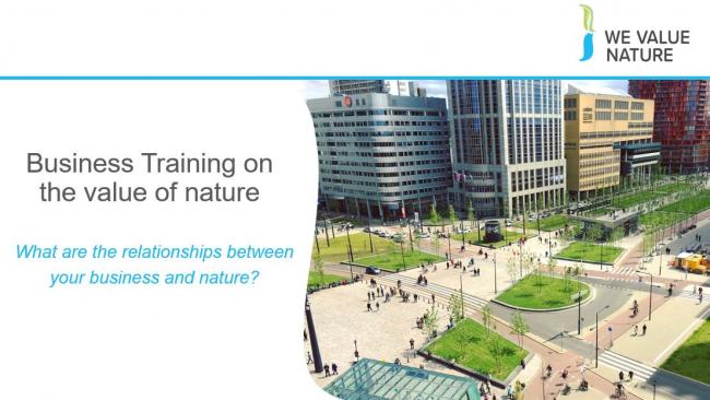 A  PowerPoint slide deck for delivering We Value Nature Module 1 as a two hour training event. 