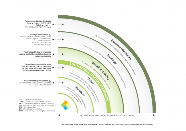 The natural capital landscape 