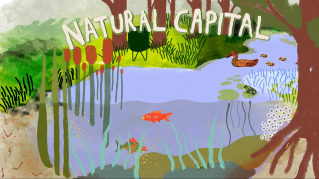 introduction-to-natural-capital-accounting-we-value-nature