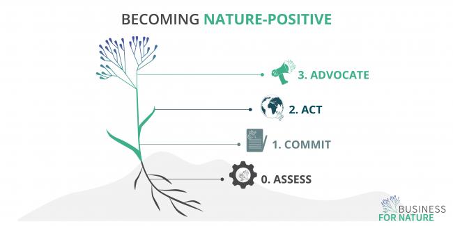Infographic for nature positivity