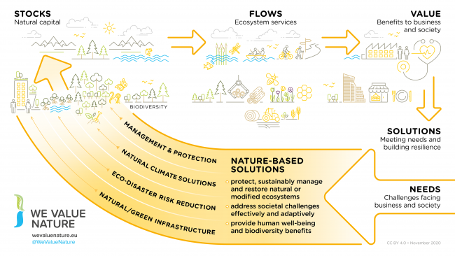 Making the Case for Nature-Based Solutions - Invest4Nature